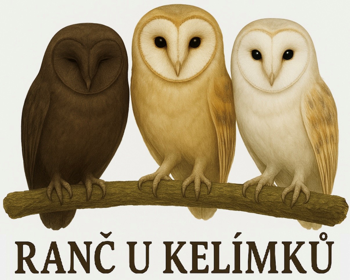 Útulek 2